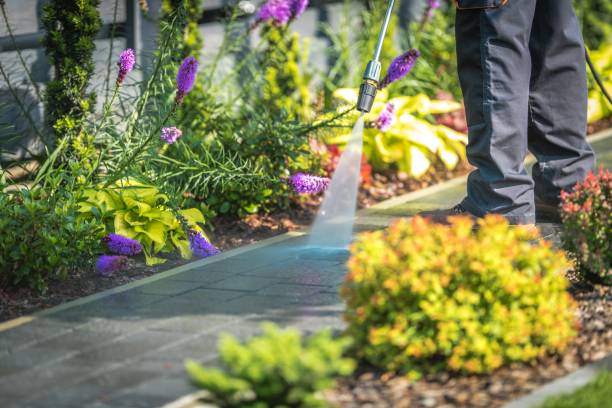 Best Sign and Awning Cleaning  in Wasilla, AK